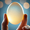 Naked Egg