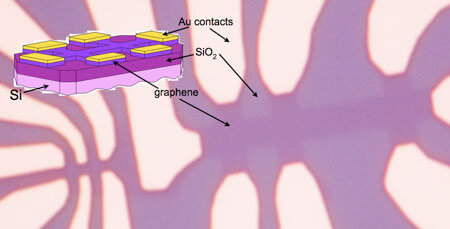 Optical picture of a graphene device made of graphene sheets cut by photolithography on top of SiO2, with gold electrodes and doped Si back gate