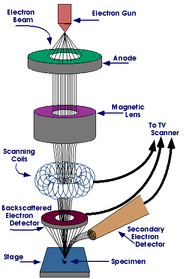 Components of a Scanning Electron Microscope