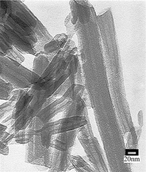 Halloysite nanotubes