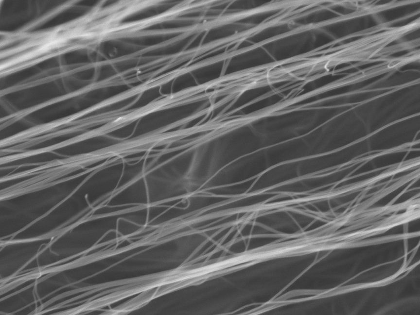 Single-walled Carbon Nanotubes