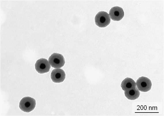 Core-Shell Silica Nanoparticles