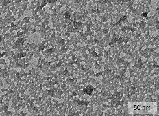 Ultra-Small Silica Nanoparticles
