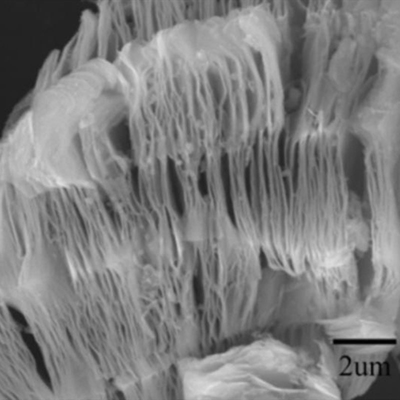 Organoid Ti3CN MXenes material