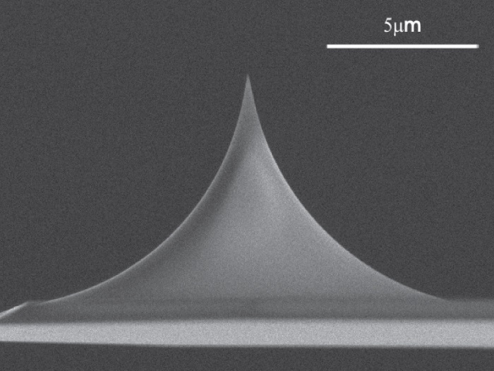 Soft, drift-reduced AFM probes for Biology and Life-Science Applications – Uniqprobe