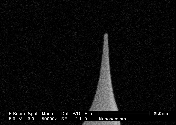 Magnetic Force Microscopy AFM tips