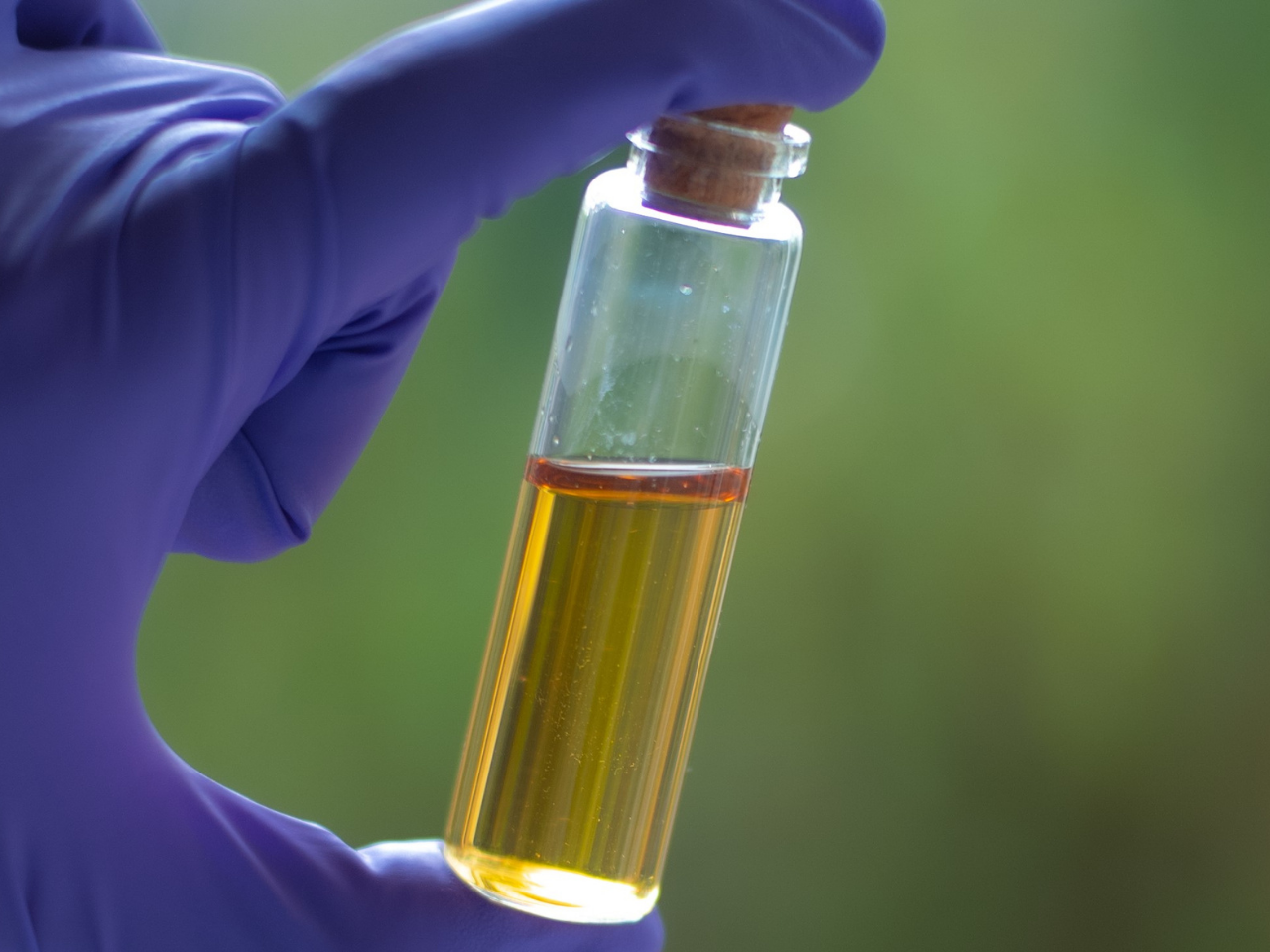 Silver Nanoparticles - Green Synthesis