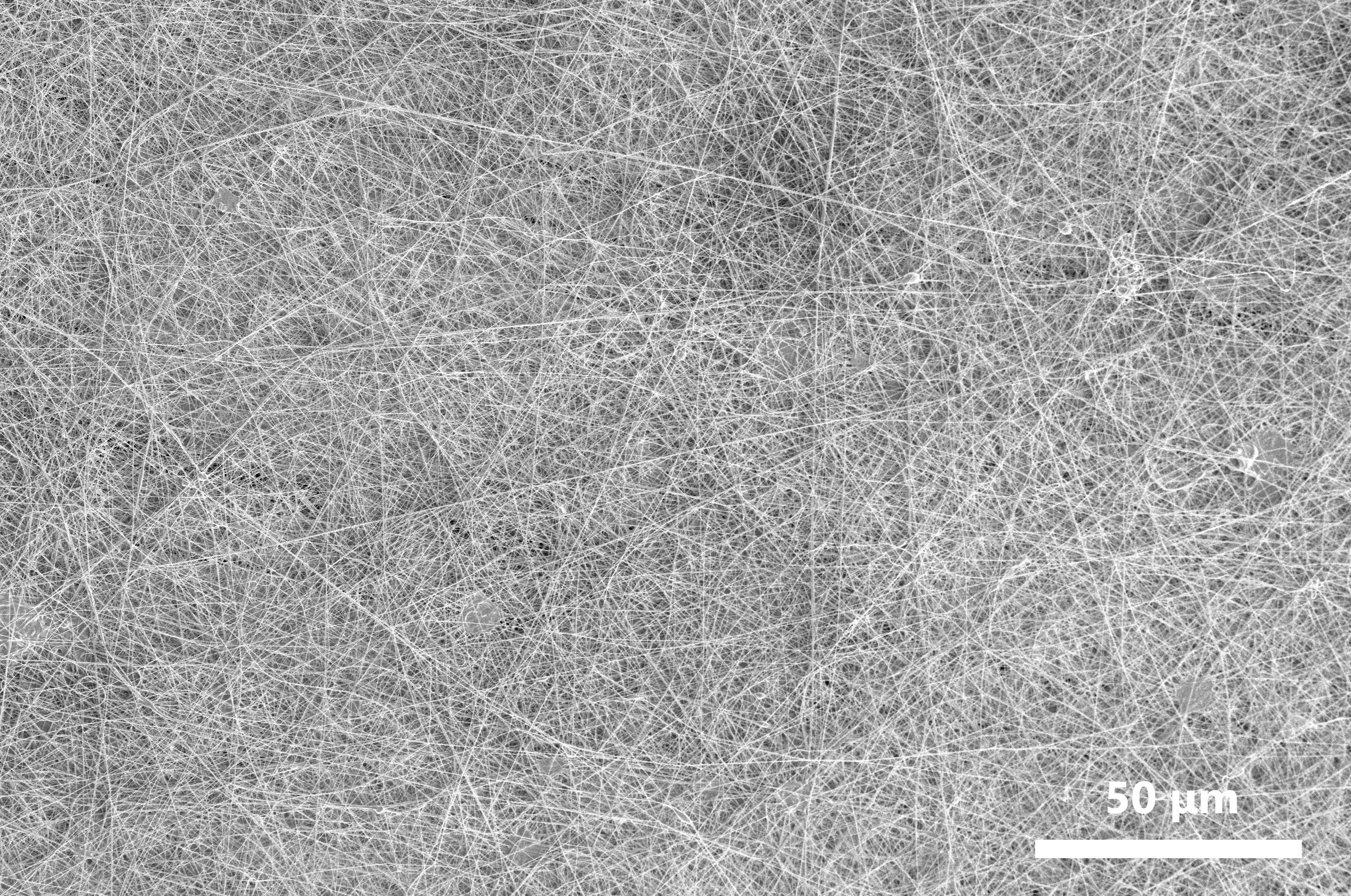 PVDF Nanofiber