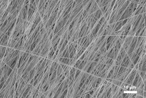 Pullulan Nanofiber