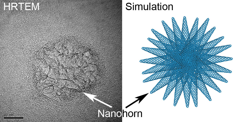 Illustration of the structure of carbon nanohorns