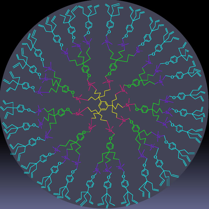 Dendrimer with 81 allyls branches