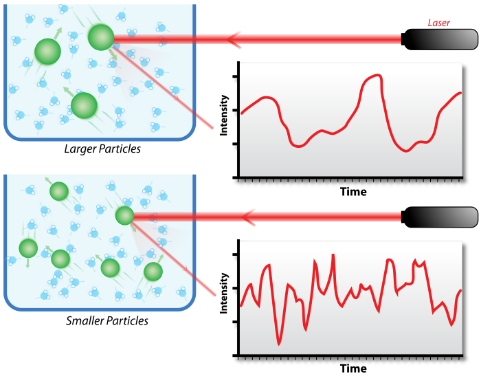 Image depicting the principle of Dynamic Light Scattering (DLS) for measuring particle sizes