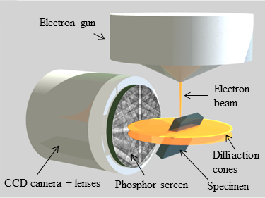  Illustration of the EBSD detection geometry and a conventional EBSD detector
