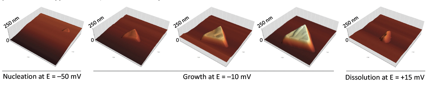 Schematic illustration of an electrochemical AFM setup