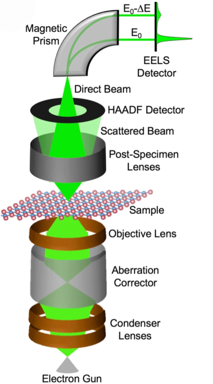Schematic of electron energy-loss spectroscopy (EELS) experiment in a scanning transmission electron microscope (STEM)