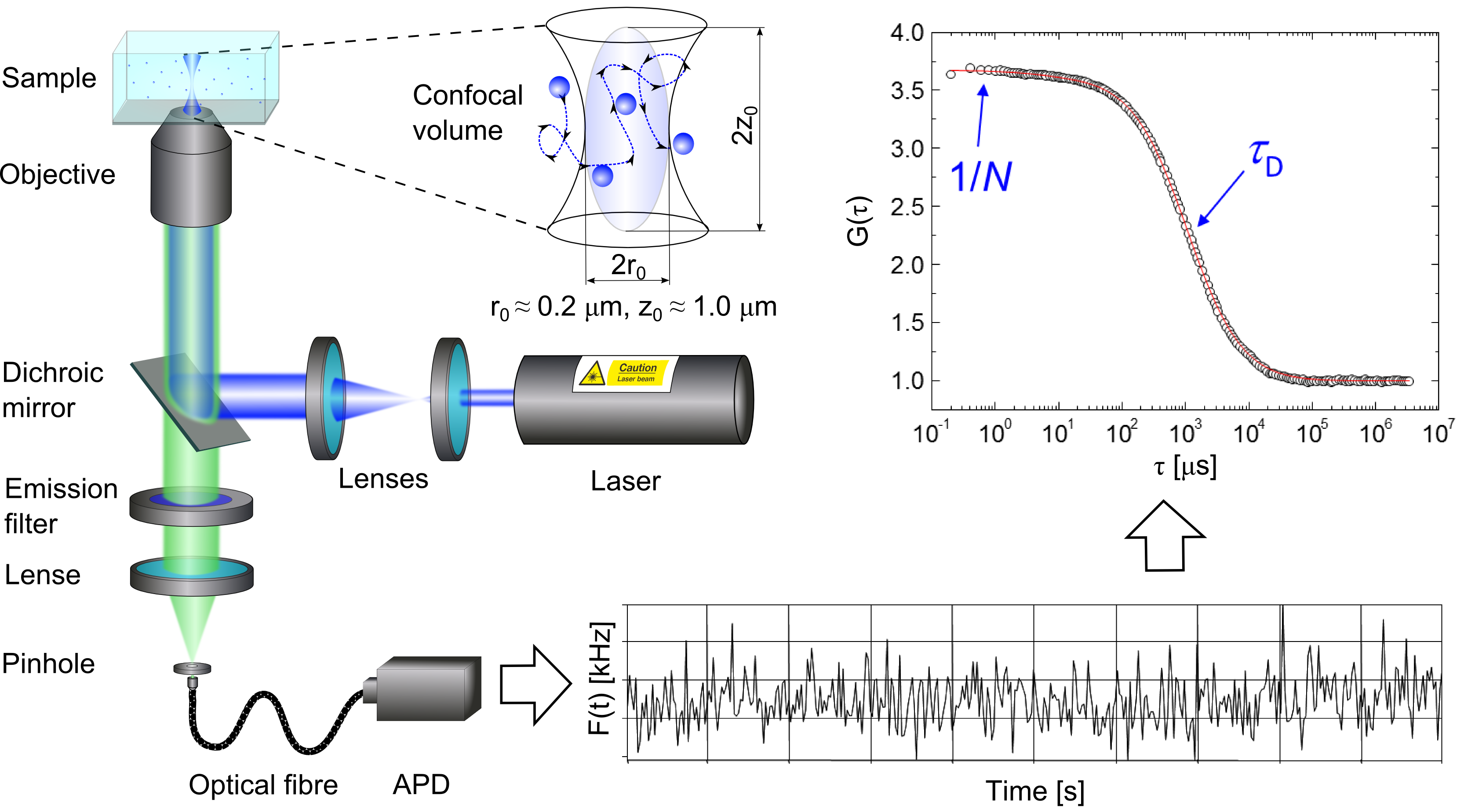 Schematic representation of a typical confocal FCS setup and it's principle of operation