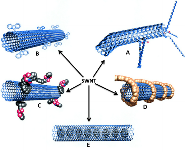 Functionalization pathways of single-walles carbon nanotubes
