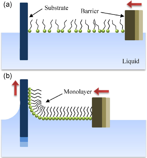 Diagram showing two stages of the Langmuir-Blodgett film deposition process: Panel A depicts amphiphilic molecules being compressed on a water surface by a barrier, while Panel B shows the transfer of the monolayer onto a vertical substrate