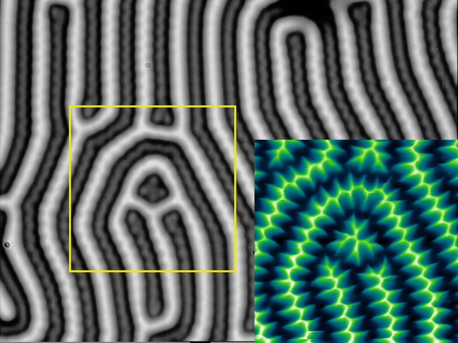 Two methods of imaging the magnetic domain structures: polarizing optical microscopy — Faraday effect and magnetic force microscopy (MFM)