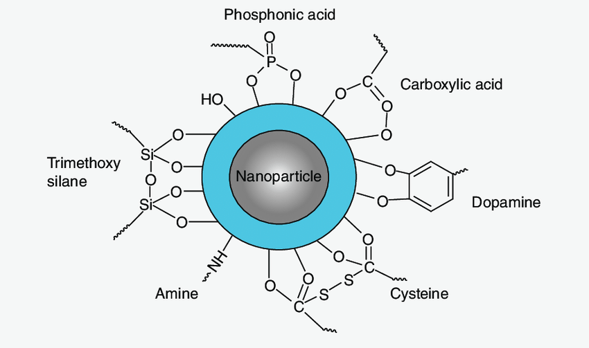 Diagram showing the functionalization of a metal oxide nanoparticle with various organic molecules, including trimethoxysilane, amine, phosphonic acid, carboxylic acid, dopamine, and cysteine. This surface modification endows the nanoparticle with diverse properties for specialized applications in fields like biomedicine, catalysis, and environmental remediation.