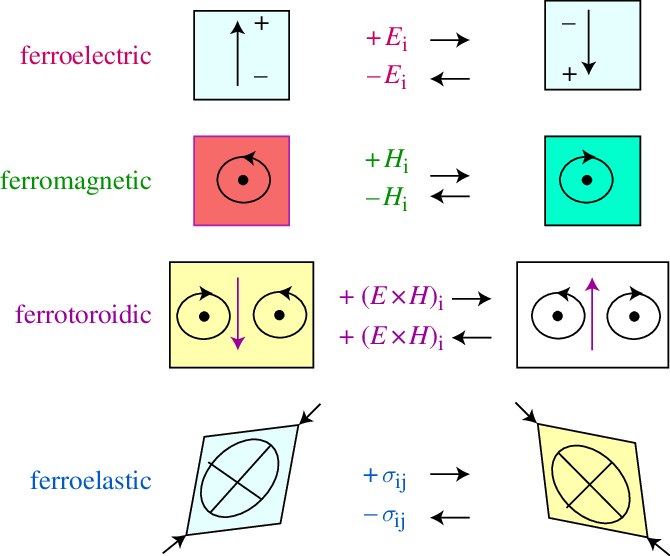 A color-coded diagram showing four ferroic orders: ferroelectric with upward electric polarization, ferromagnetic with a central spin, ferrotoroidic with opposing loops, and ferroelastic with diagonal strain. Each order is depicted with its positive and negative conjugate field responses, demonstrating their unique material properties.