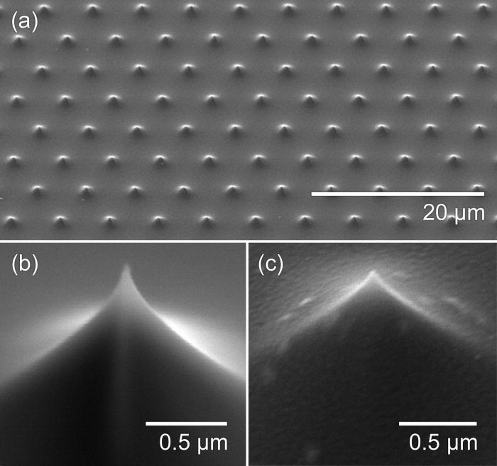SEM micrographs of a fabricated nanoemitter array