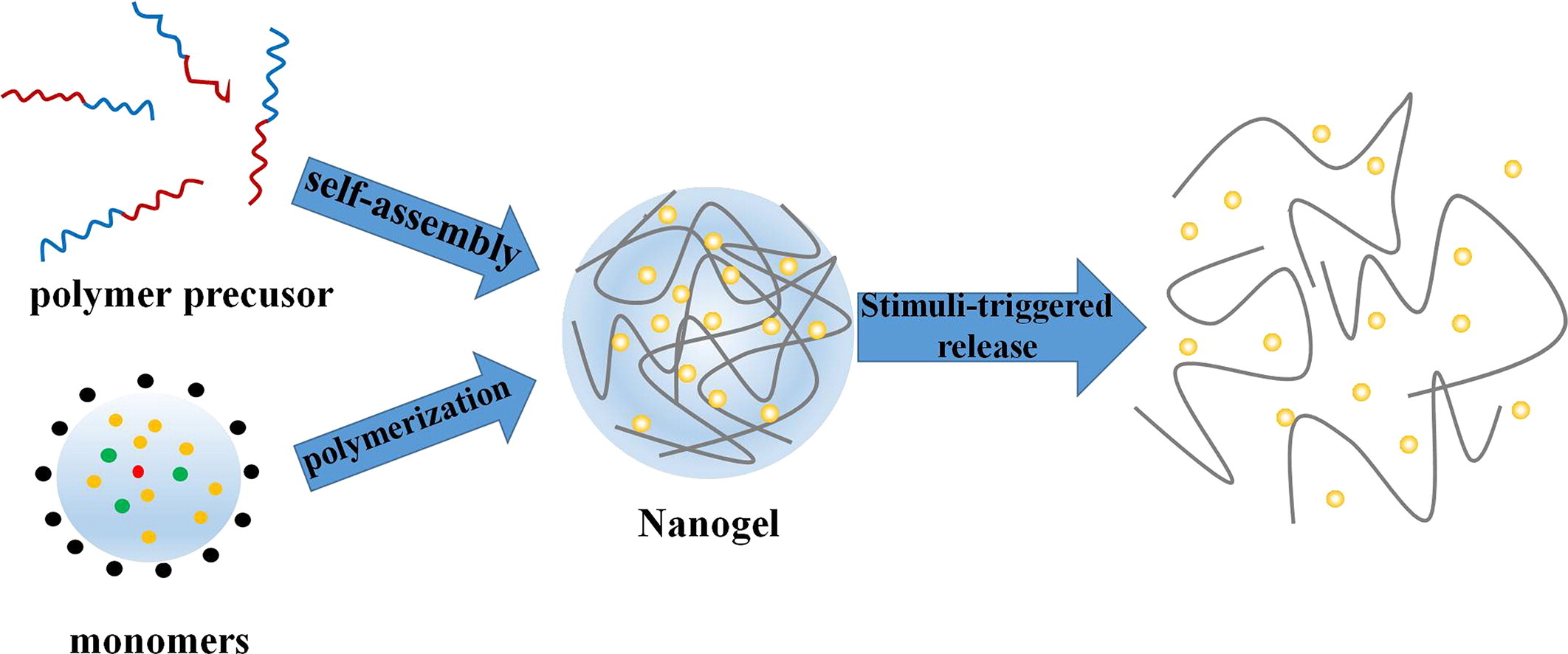 The application of nanogel in drug delivery
