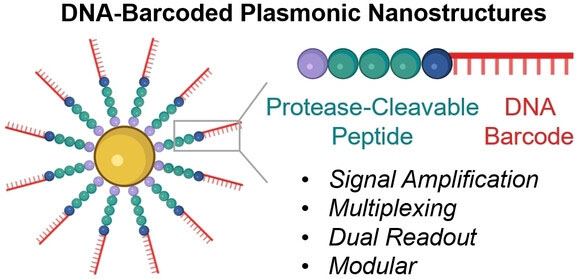 DNA-barcoded plasmonic nanostructures