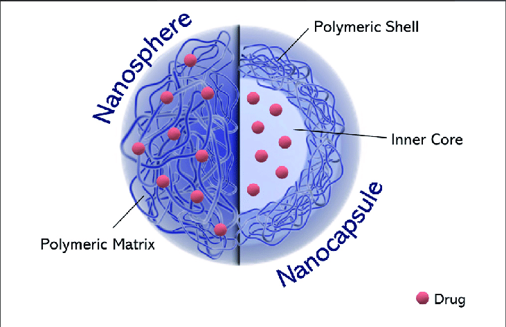 Schematic representation of a polymeric nanoparticle encapsulating drug molecules