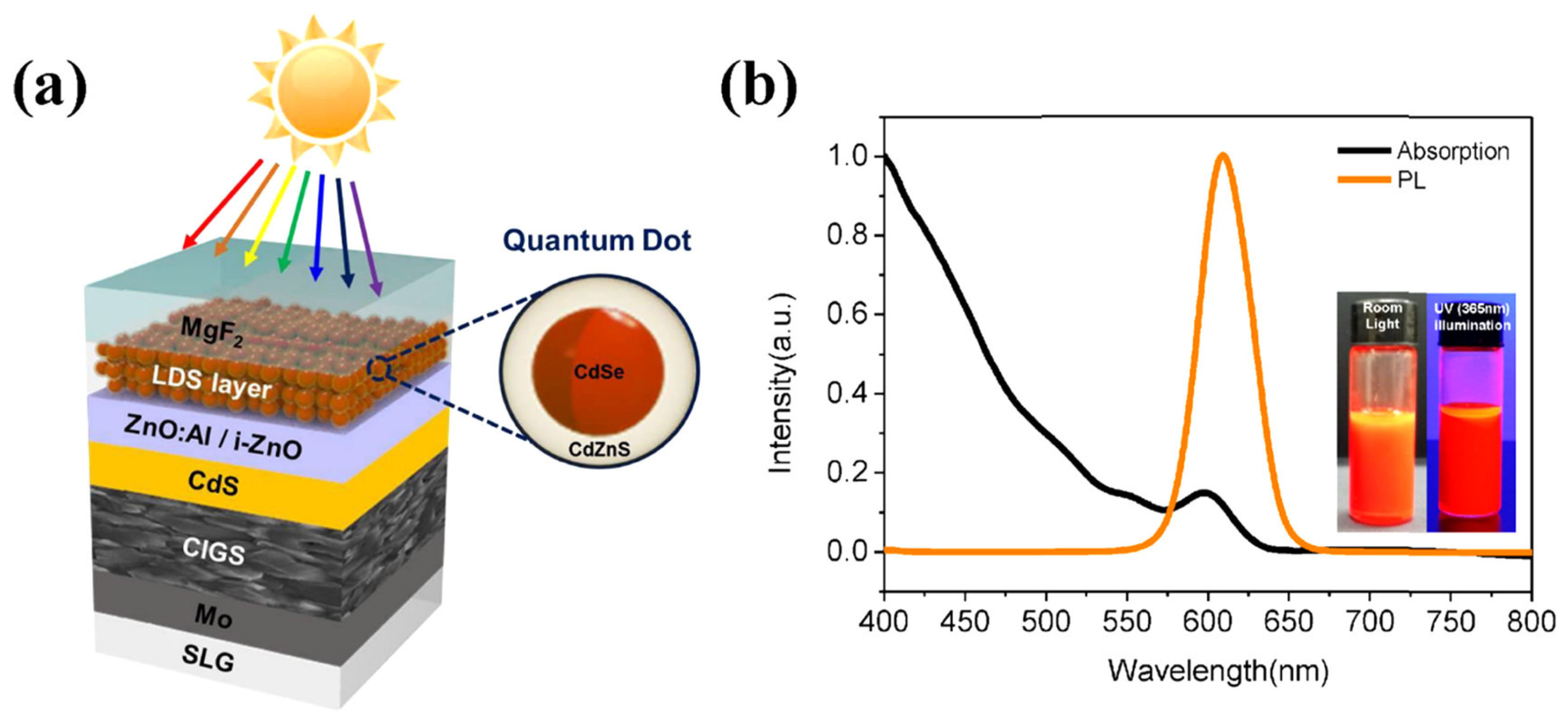 Schematic representation of a quantum dot solar cell