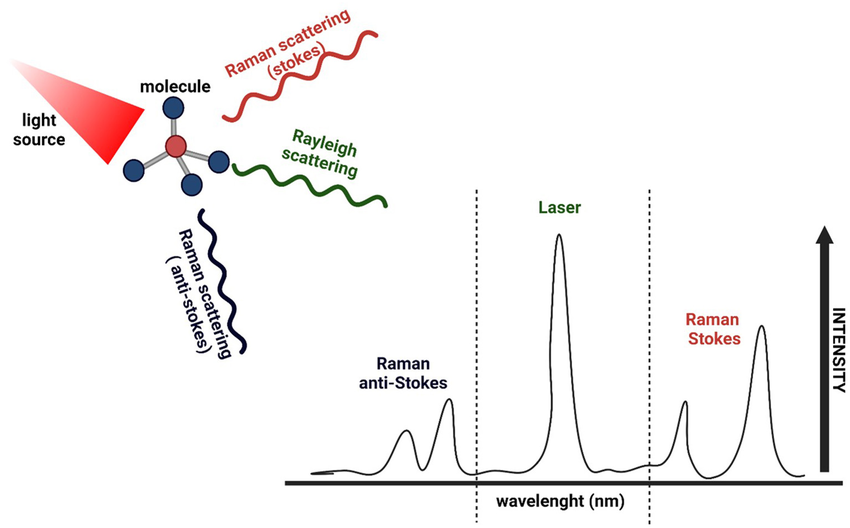 Schematic representation of Raman spectroscopy