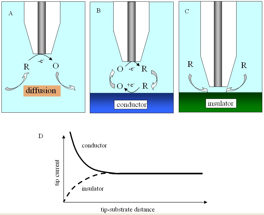 A diagram showing a microscope tip in three scenarios: freely oxidizing molecules, oxidation with a conductor for positive feedback, and with an insulator for negative feedback. Below is a graph of the tip's current near different surfaces.