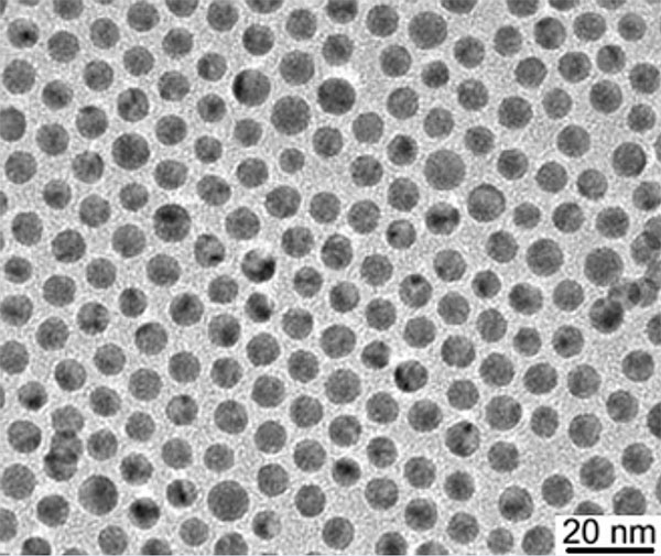 Transmission electron microscope image of silver nanoparticles