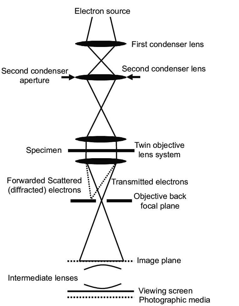 Schematic representation of TEM Transmission Electron Microscopy