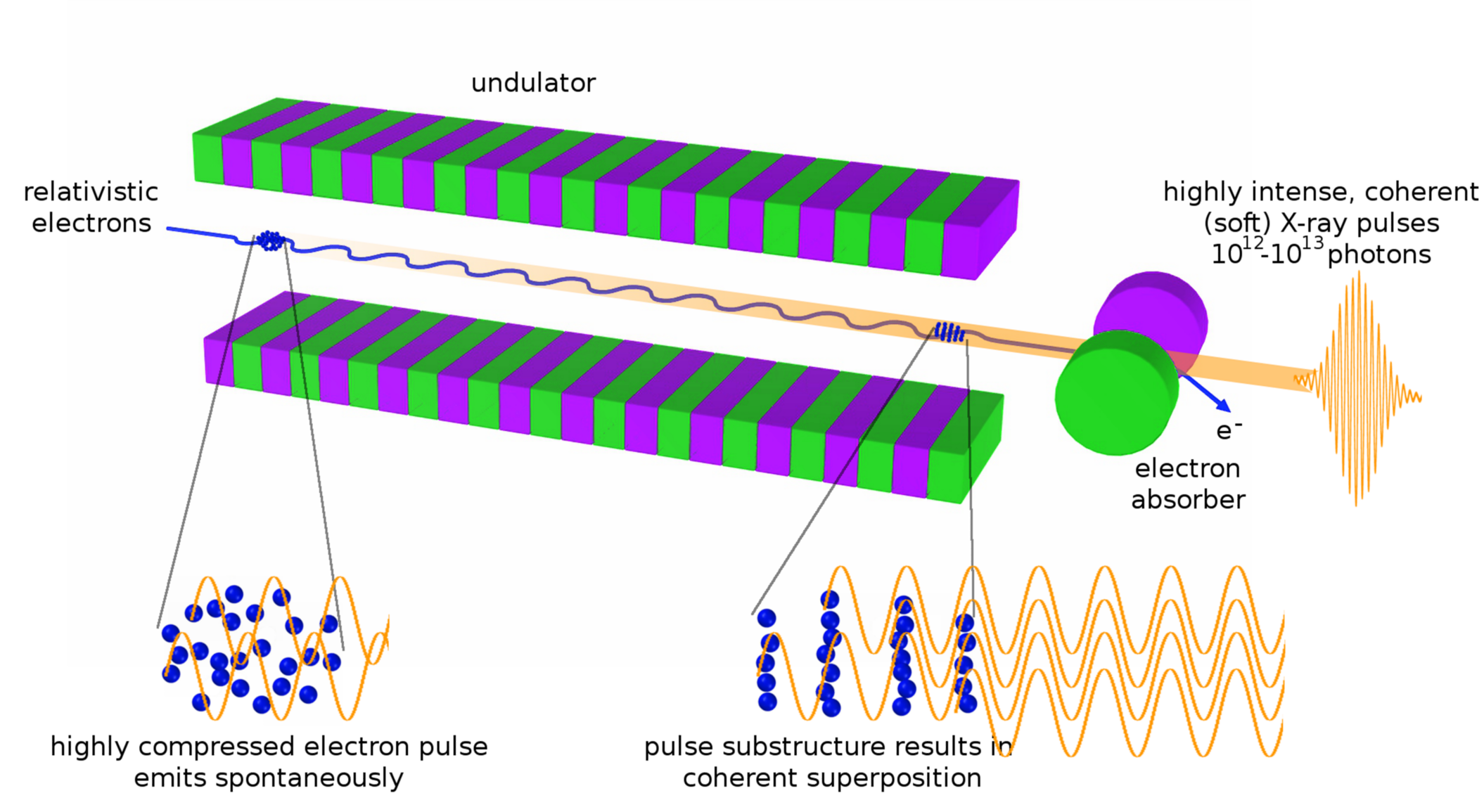 Working principle of a Free-Electron Laser