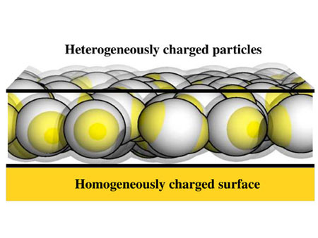 Inverse patchy colloids (IPCs) with two positively charged regions (in yellow) and one negatively charged equatorial belt (in grey) are confined in the vicinity of a uniformly charged substrate (in yellow)