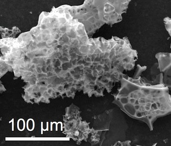Particles of nitrogen-containing porous carbon