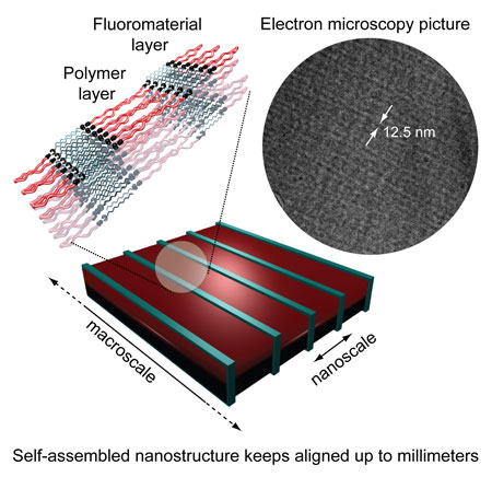 schematics and electron microscopy picture of millimeters aligned self-assembled polymeric nanostructure