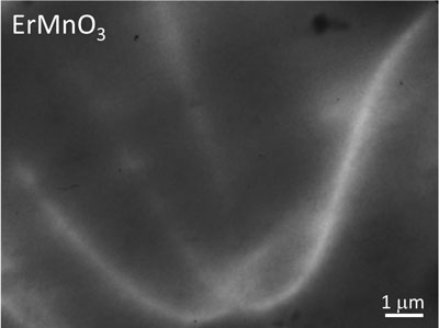 An X-PEEM image shows conducting domain walls in ErMnO3, which appear brighter than the surrounding bulk material