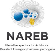 NAREB project logo