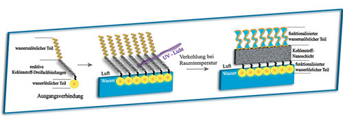 A self-organising carbon nanolayer