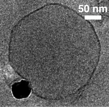 A transmission electron microscopy image of an iron oxide nanoparticle (black) binding to an oppositely charged model cell membrane
