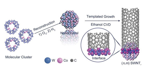 llustration of the preparation of W-Co nanocrystal and the templated growth of a SWNT