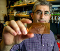 Brian Feldman is one of the inventors of a microchip-based test for diagnosing type-1 diabetes.