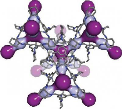 In this computer simulation, light and dark purple highlight the cavities within the 3D pore structure of CC3
