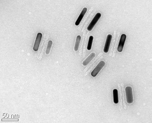 gold nanorods with DNA
