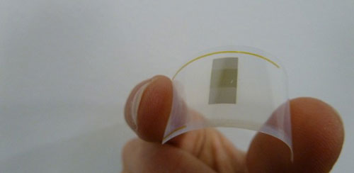 Flexible graphene photodetector