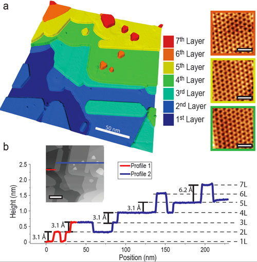 growth of seven ultra-thin layers of silicon nanosheets atop a silver crystal