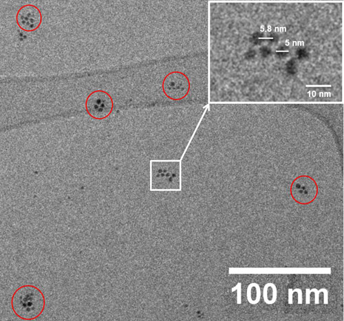 Cryogenic TEM micrograph of gold nanoparticles