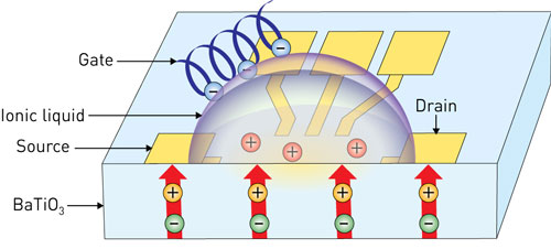 Schematic of an electric double-layer transistor featuring a ferroelectric barium titanate channel and an ionic liquid gate